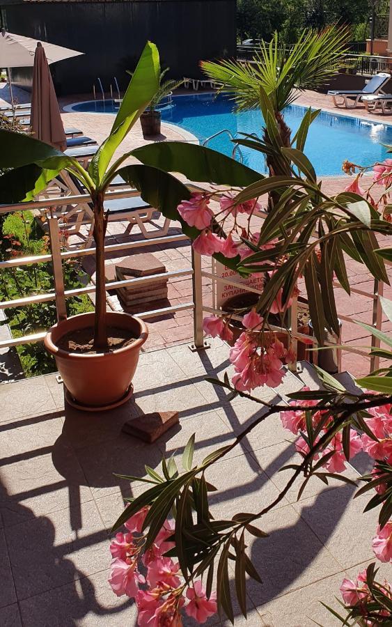 סאני ביץ' Apartament Cacao Residence מראה חיצוני תמונה