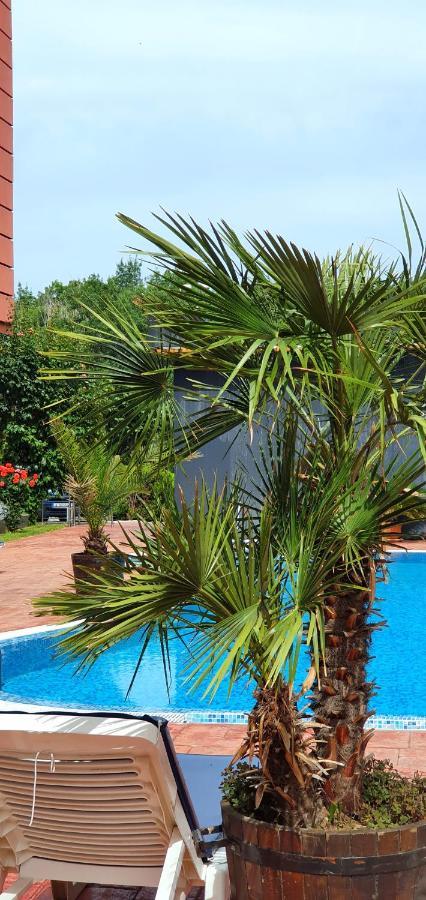 סאני ביץ' Apartament Cacao Residence מראה חיצוני תמונה
